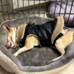 72140613476__34412354-E97D-452F-8D7C-11DD0DC804E7