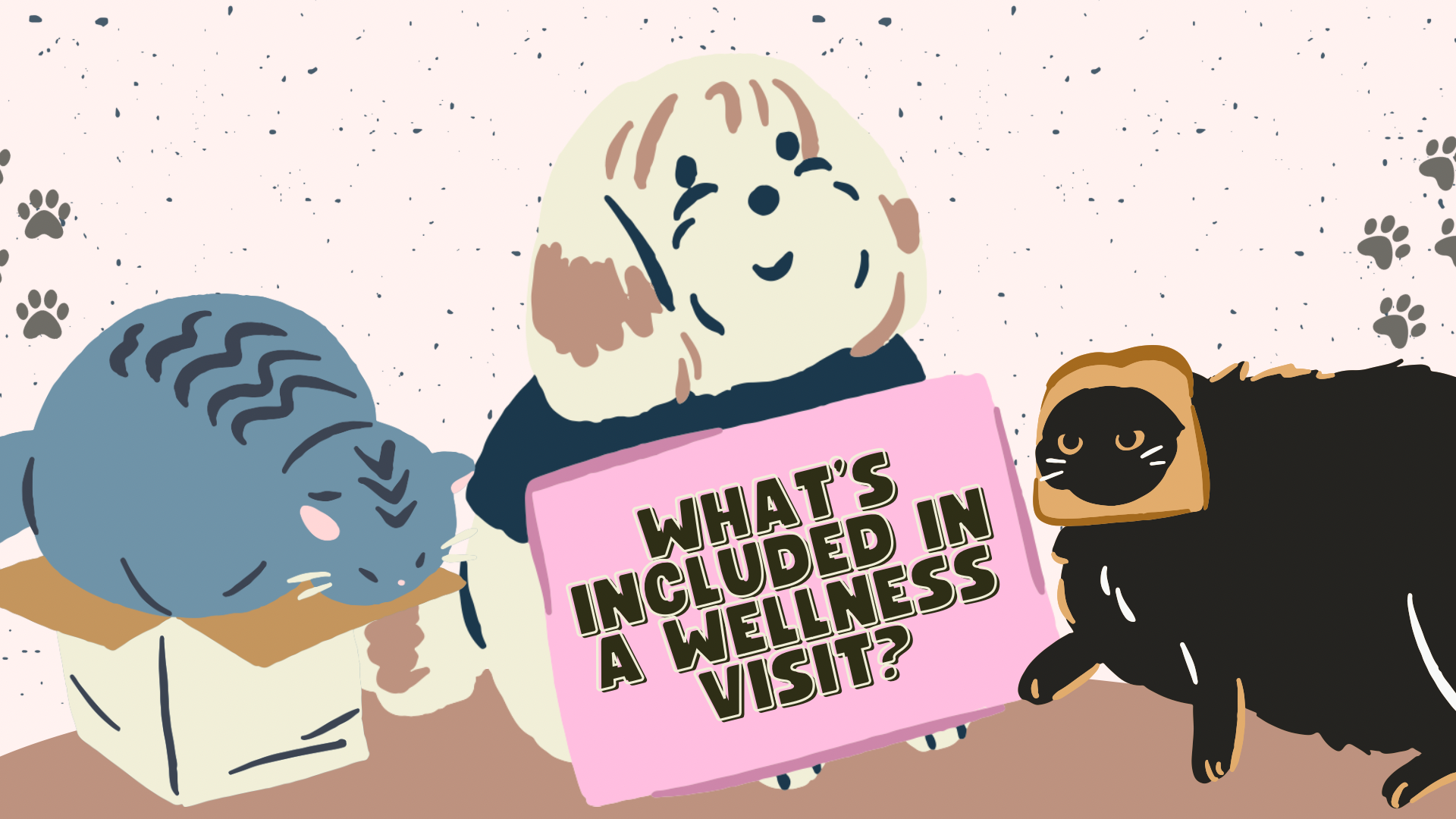 Pink and Cream Organic Illustrative Pet Adoption Advocacy Presentation - 3