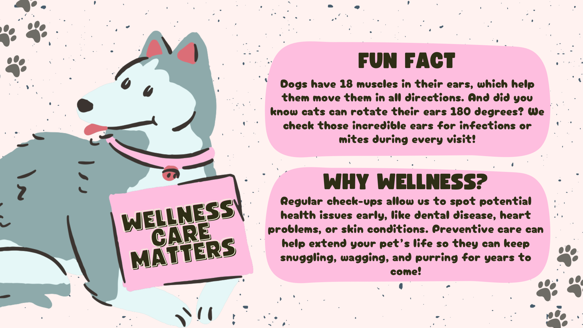 Pink and Cream Organic Illustrative Pet Adoption Advocacy Presentation - 6