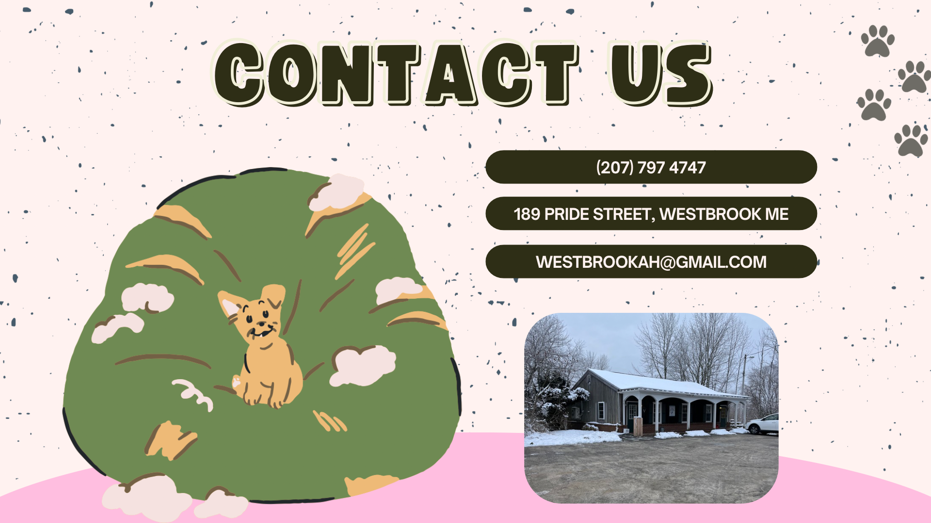 Pink and Cream Organic Illustrative Pet Adoption Advocacy Presentation - 8